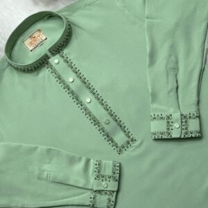 চায়না মাইক্রো স্টিজ জাফরান পাঞ্জাবি 2